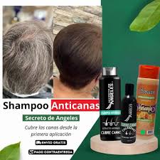 🎁 3x1: El Kit Shampoo Natural que Elimina las Canas 😍🖤
