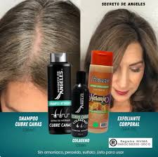 🎁 3x1: El Kit Shampoo Natural que Elimina las Canas 😍🖤