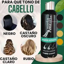 🎁 3x1: El Kit Shampoo Natural que Elimina las Canas 😍🖤